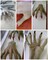 Halloween Skeleton Hands Realistic Life Size Fake Plastic Zombie Hands for Halloween Scary Props Decoration, 1 Pair